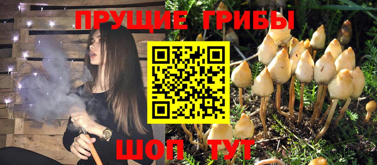 Галлюциногенные грибы Cubensis  Вход с VPN  Галлюциногенные грибы Psilocybe  Вичуга 