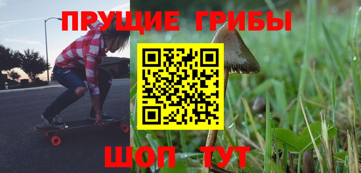 Псилоцибиновые грибы GOLDEN TEACHER Вичуга